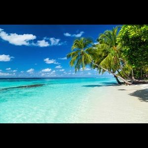 Meet your Posher, Marcy